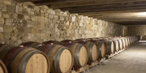 Bodegas de Cuenca | Cooperativas y proyectos que impulsan la calidad del vino conquense